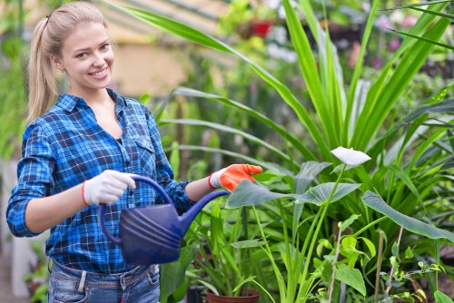 Professional lawn mowing service in Purley by About Us Lawn Mowing Purley