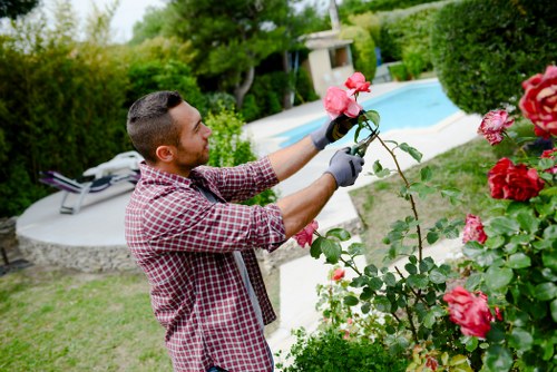 Team of About Us Lawn Mowing Purley maintaining a lush green lawn