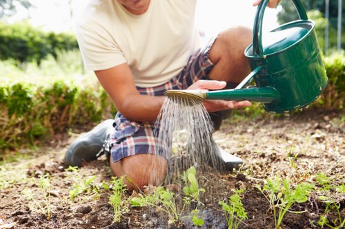 Final inspection of a freshly mowed lawn