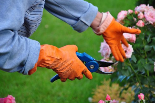 Team member starting mower on residential lawn