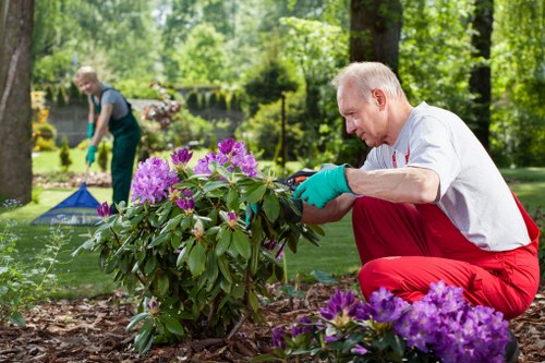 Lush green lawn maintained by Purley professionals