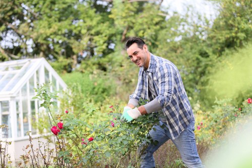 Overgrown garden being cleared by experts