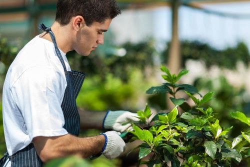 Professional lawn mowing service in Purley
