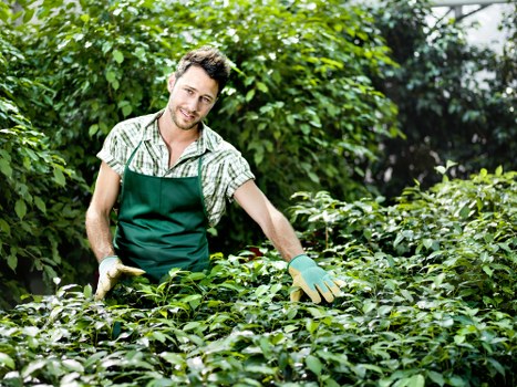 Benefits of professional lawn mowing