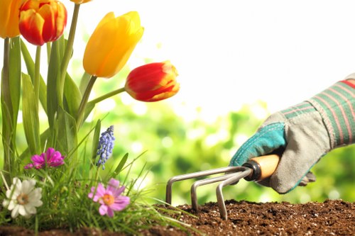 Efficient tree removal services in Purley
