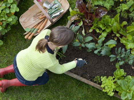 Seasonal tips for maintaining your lawn in Purley