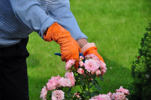 Choosing the right lawn care provider in Purley