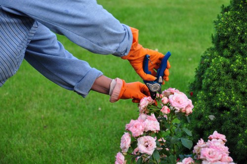 Lawn care expert tending to grass in Purley