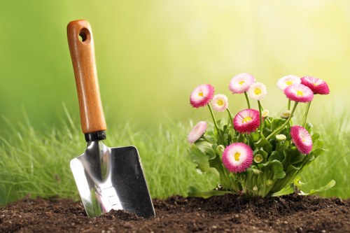 Professional lawn maintenance services in Purley